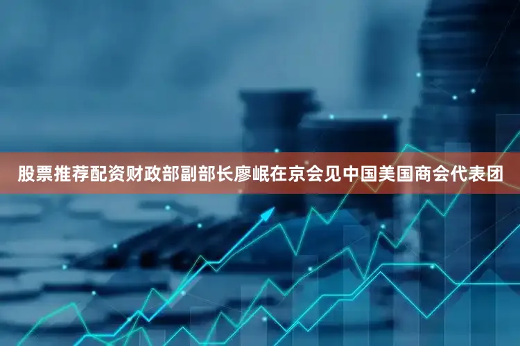 股票推荐配资财政部副部长廖岷在京会见中国美国商会代表团