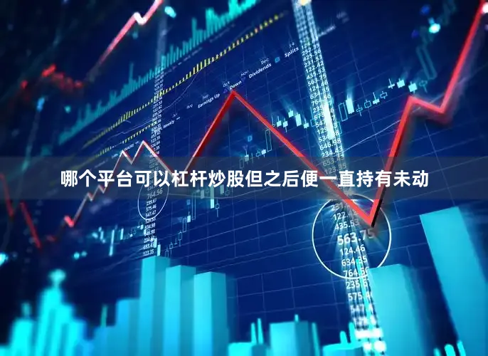 哪个平台可以杠杆炒股但之后便一直持有未动