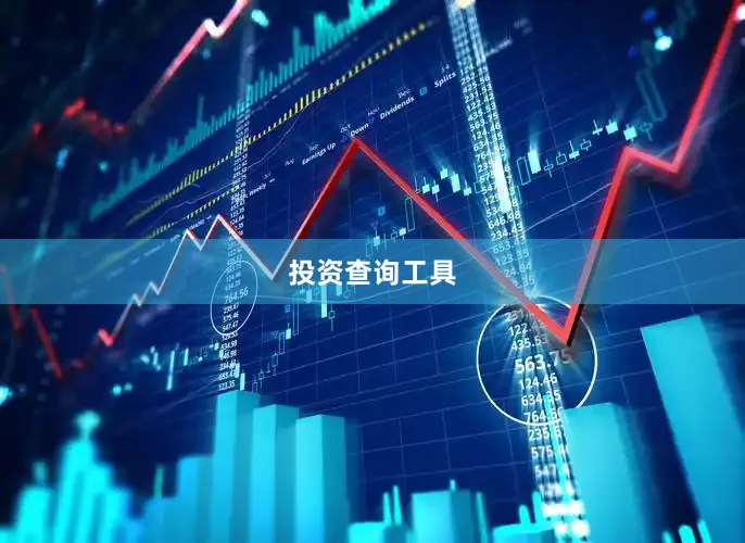 投资查询工具